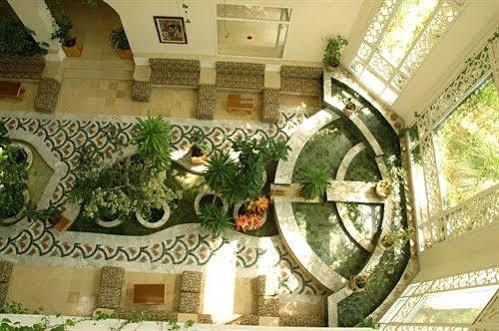 Cyclamens Mechmoum And Hammamet