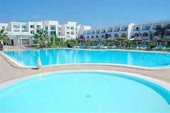 Cyclamens Mechmoum And Hammamet